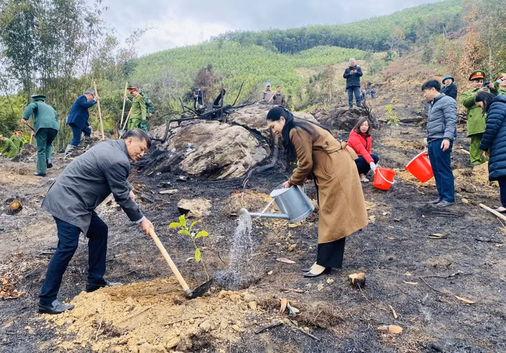 Trong ngày phát động Tết trồng cây Xuân Quý Mão 2023, các xã, thị trấn, đơn vị, cơ quan trên địa bàn huyện Bình Liêu đã trồng được 15.400 cây các loại.