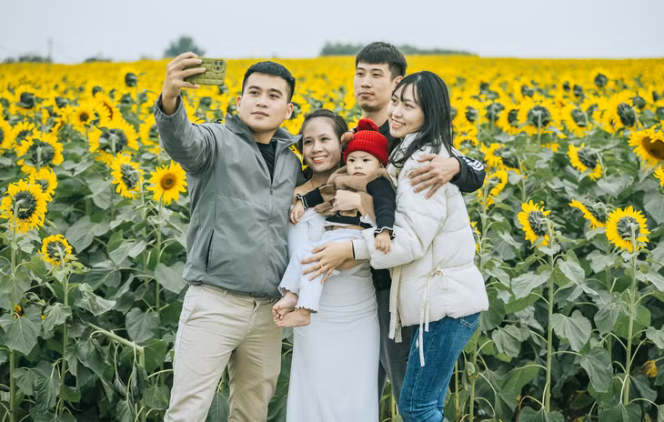 Cánh đồng hoa hướng dương hút khách đầu năm ảnh 9