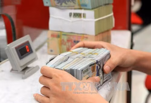 Tỷ giá trung tâm giữa đồng Việt Nam và đô la Mỹ sáng nay được Ngân hàng Nhà nước công bố ở mức 23.217 VND/USD. Ảnh minh họa: TTXVN