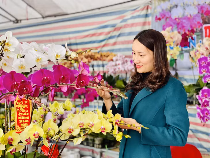 Với nét đẹp thanh tao mang ý nghĩa về cuộc sống no đủ, một khởi đầu tốt đẹp, nhiều người dân đã chọn lựa những chậu lan rực rỡ để về trang trí gia đình ngày Tết.
