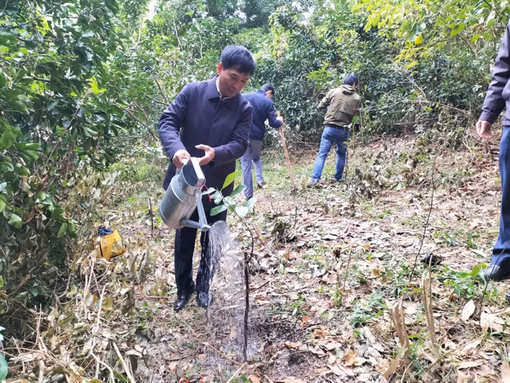 Ban Quản lý Vịnh Hạ Long trồng cây tại khu vực đảo Lờm Bò.