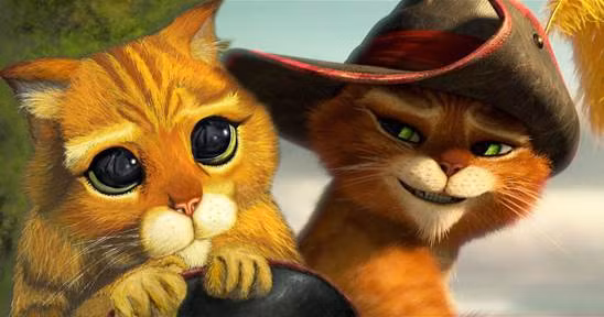 Hình ảnh đáng yêu của chú mèo Puss.