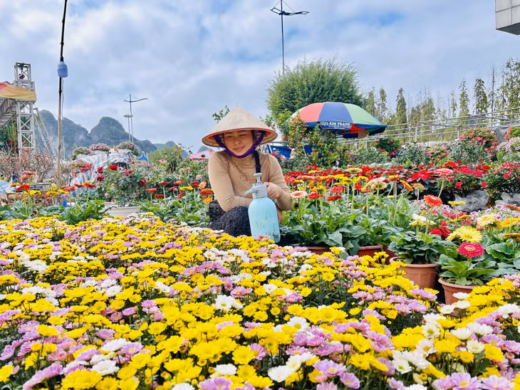 Hội hoa xuân Quý Mão 2023 diễn ra từ ngày 12 đến trưa ngày 21/1 để phục vụ nhu cầu của người dân, du khách.