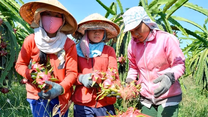Nông sản là mặt hàng có nhiều thuận lợi khi xuất khẩu sang Trung Quốc.