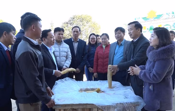 Sản phẩm củ cải muối được xuất khẩu sang Nhật Bản.