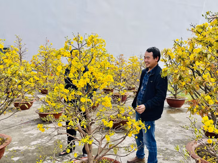 Rộn ràng Chợ hoa xuân Hạ Long ảnh 10