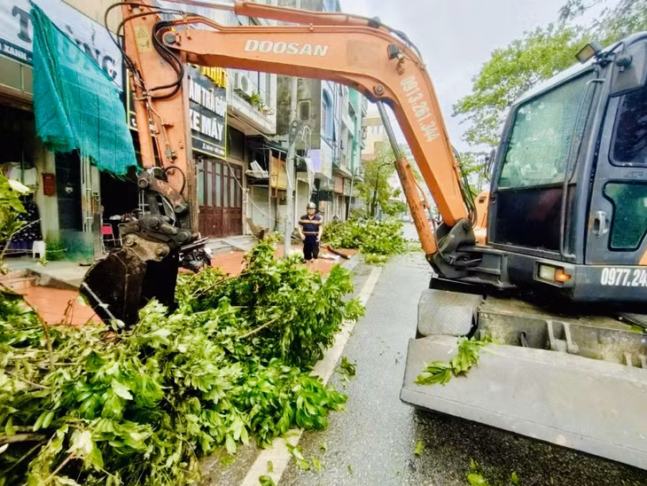 TP Hạ Long huy động tối đa phương tiện để thu dọn cây cối bị gẫy đổ.