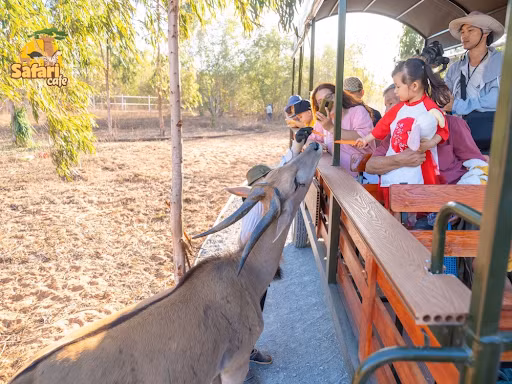 Khám phá thiên đường vui chơi tại Phan Thiết dành cho mọi lứa tuổi ảnh 4