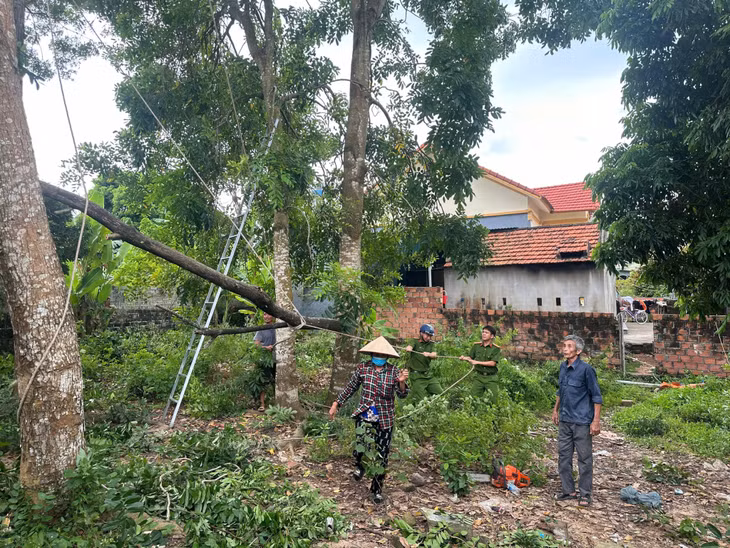 Công an xã Hiệp Hòa, TX Quảng Yên giúp người dân chủ động cắt tỉa cây xanh phòng ngừa tai nạn trong mưa bão.