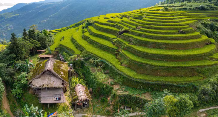 Thôn Xà Phìn thuộc xã Phương Tiến, huyện Vị Xuyên, tỉnh Hà Giang, nằm ở độ cao 1.000m so với mực nước biển. Theo chia sẻ của một số người làm du lịch tại đây, những ngày qua, thời tiết ở thôn Xà Phìn nắng đẹp, các thửa ruộng bậc thang phủ màu xanh mướt. Ảnh: Hà Giang Trẻ