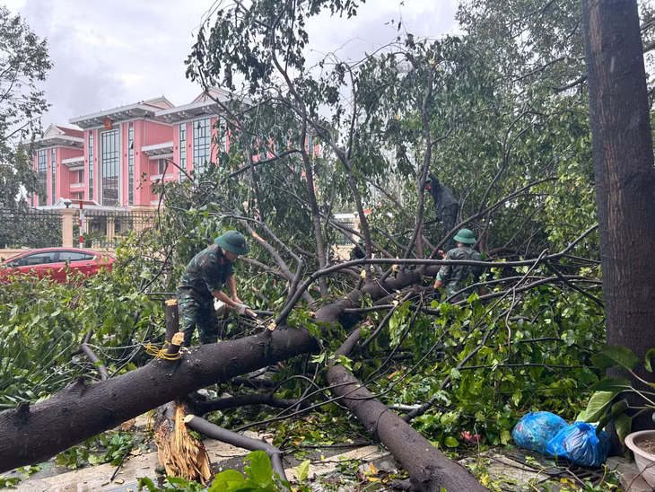 Lực lượng vũ trang hỗ trợ khắc phục thiệt hại sau bão số 3 trên địa bàn TP Hạ Long.