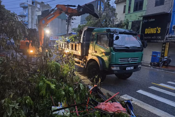 Phường Cao Xanh huy động phương tiện làm xuyên đêm để thu gom, xử lý rác thải ở những khu vực có nhiều cây xanh gãy đổ sau bão. Ảnh: Hoàng Nga