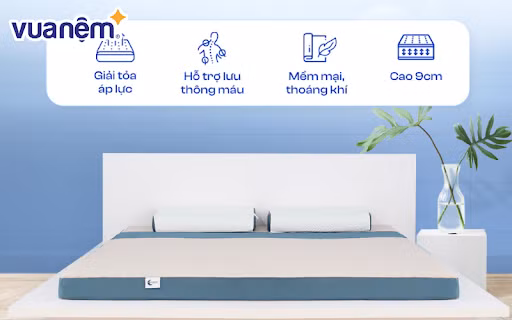 Tìm hiểu về các loại nệm cao su phổ biến hiện nay - Mua nệm cao cấp ở đâu? ảnh 1