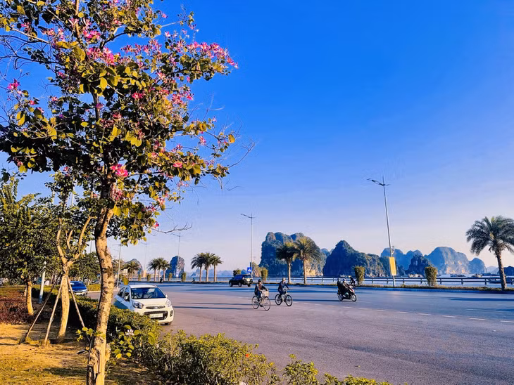 Công viên hoa Hạ Long nằm ngay bên bờ Vịnh Hạ Long xinh đẹp.