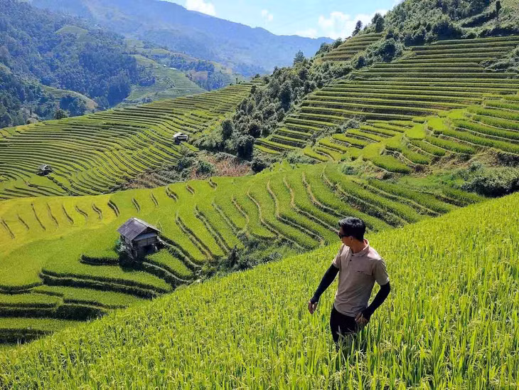 Anh Hờ Sinh, người làm du lịch tại Mù Cang Chải, tỉnh Yên Bái, cho biết hôm qua và sáng nay, thời tiết tại Mù Cang Chải có nắng đẹp. Tình hình mưa bão trong thời gian qua hầu như không ảnh hưởng nhiều đến vẻ đẹp của ruộng lúa. Trong ảnh là ruộng bậc thang tại xã Chế Cu Nha, được chụp vào hôm qua, 15-9. Ảnh: Hờ Sinh