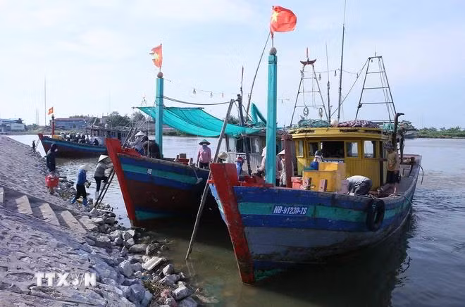 Tàu thuyền cập bến Khu neo đậu tránh trú bão kết hợp cảng cá Hà Lạn, huyện Giao Thủy. (Ảnh: Công Luật/TTXVN)
