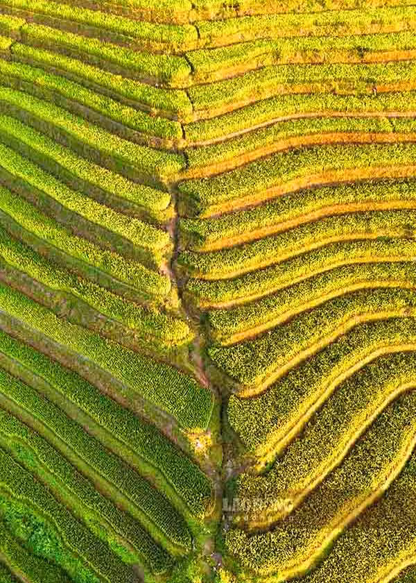 Ruộng bậc thang ở bản Đề Dê Hu, xã Sính Phình.