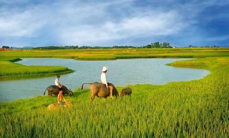 Việt Nam đã xóa đói, giảm nghèo ngoạn mục, đồng thời cung cấp cho cộng đồng quốc tế hàng triệu tấn lương thực cùng với các nông sản đặc hữu