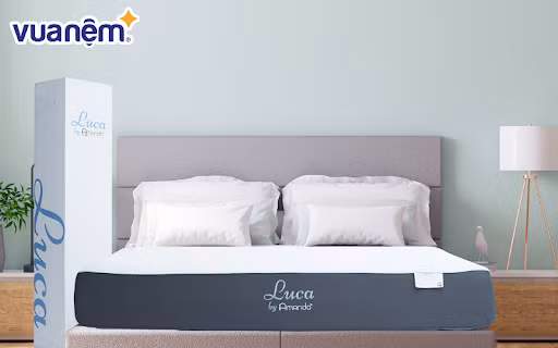Tìm hiểu về các loại nệm cao su phổ biến hiện nay - Mua nệm cao cấp ở đâu? ảnh 4 Tìm hiểu về các loại nệm cao su phổ biến hiện nay - Mua nệm cao cấp ở đâu? ảnh 4