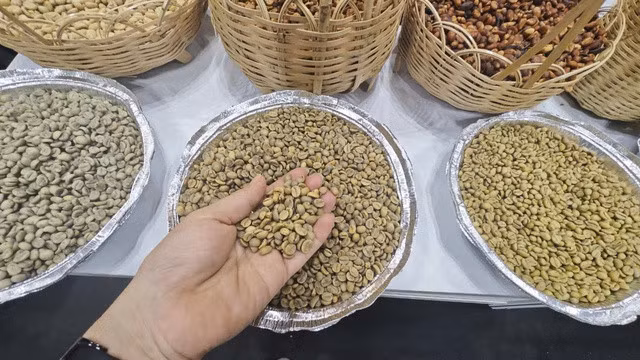 Giá cà phê Robusta có thể lập mốc 6.000 USD/tấn