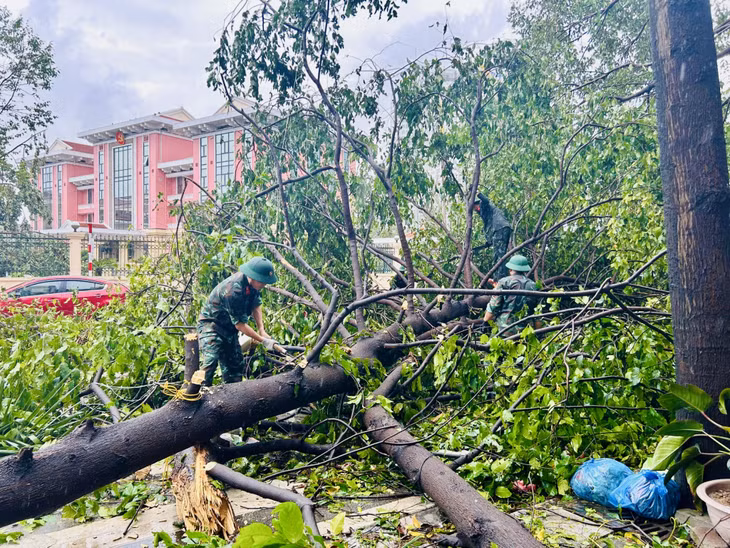 Lực lượng vũ trang tham gia khắc phục hậu quả cơn bão số 3 trên địa bàn TP Hạ Long.