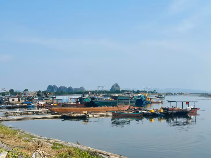 Các tàu thuyền neo đậu tại bến