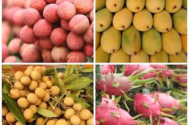 Lần đầu tiên Lễ hội trái cây Việt Nam được tổ chức tại Bắc Kinh - Ảnh 1.