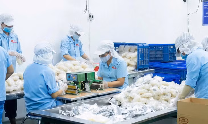 Nhiều doanh nghiệp sản xuất bún, phở khô... chịu áp lực với giá gạo neo cao kéo dài - Ảnh: B.T.
