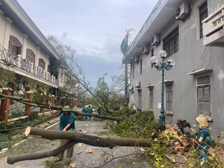 Công nhân vệ sinh môi trường thu dọn cây gãy đổ.
