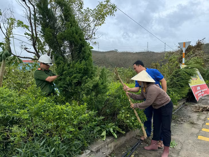 Cán bộ, nhân dân xã Sơn Dương (TP Ha Long) trồng lại cây xanh trên trục chính đường trung tâm xã.