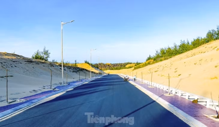 Quy mô mặt cắt ngang của tuyến gồm 2 đoạn: Đoạn đầu tuyến dài 381 m có điểm đầu tiếp giáp nút T8 tại Quốc lộ 19B, mặt đường đoạn này rộng 45 m. Đoạn còn lại dài hơn 2,2 km, bề rộng mặt đường 18 m có điểm cuối tại xã Nhơn Lý.
