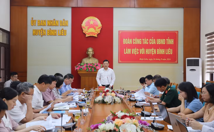 Đồng chí Nghiêm Xuân Cường, Phó Chủ tịch UBND tỉnh phát biểu tại buổi làm việc.