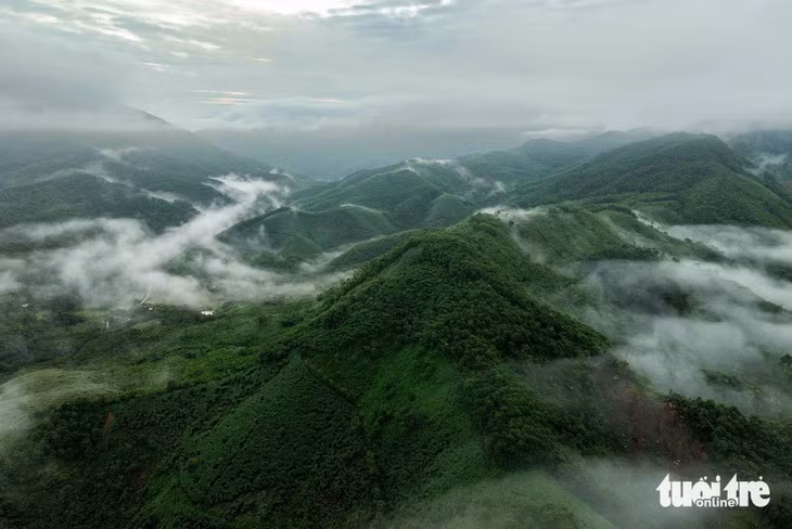 Diện tích tự nhiên của huyện Bảo Yên khá rộng, song chủ yếu là rừng và đất rừng chiếm hơn 70% diện tích tự nhiên của huyện, với diện tích che phủ hiện nay là 51% (năm 2009). Rừng nguyên sinh tập trung tại đầu nguồn và trên vành cao dãy núi Con Voi, có nhiều lâm sản quý hiếm - Ảnh: NGUYỄN KHÁNH