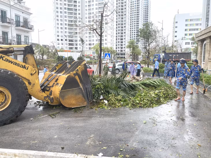 Trung tâm Hành chính công TP Hạ Long phối hợp các đơn vị dọn dẹp cây xanh bị đổ gãy sau bão