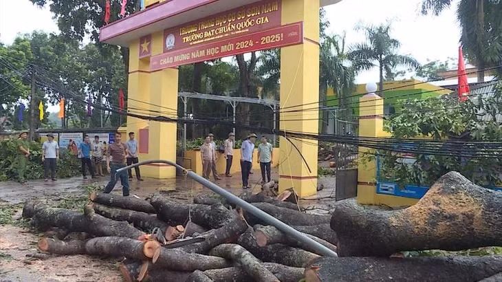 Lực lượng chức năng dọn dẹp cây đổ tại trường THCS Sơn Nam, huyện Sơn Dương.