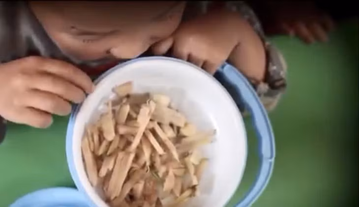 Hình ảnh học sinh với cặp lồng cơm trắng với gừng và muối trắng trên truyền hình - Ảnh chụp màn hình
