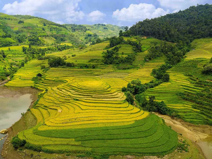 Những năm qua, Mường Hum là một trong những điểm ngắm ruộng bậc thang mùa lúa chín được nhiều du khách tìm đến. Trong ảnh là ruộng bậc thang Mường Hum được chụp vào năm 2022. Ảnh: Nguyễn Long Kiên