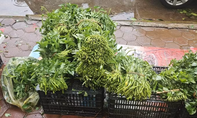 Rau ăn lá tăng giá gấp đôi, ba ngày thường. Ảnh: Phương Dung