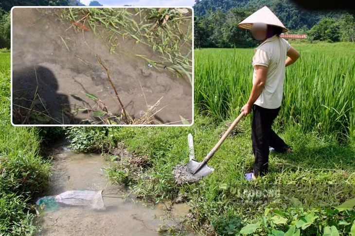 Bùn thải quặng chì kẽm của Công ty Kim loại màu Bắc Kạn tràn vào đồng ruộng, nước suối khiến người dân lo lắng ô nhiễm, ngộ độc chì. Ảnh: Việt Bắc