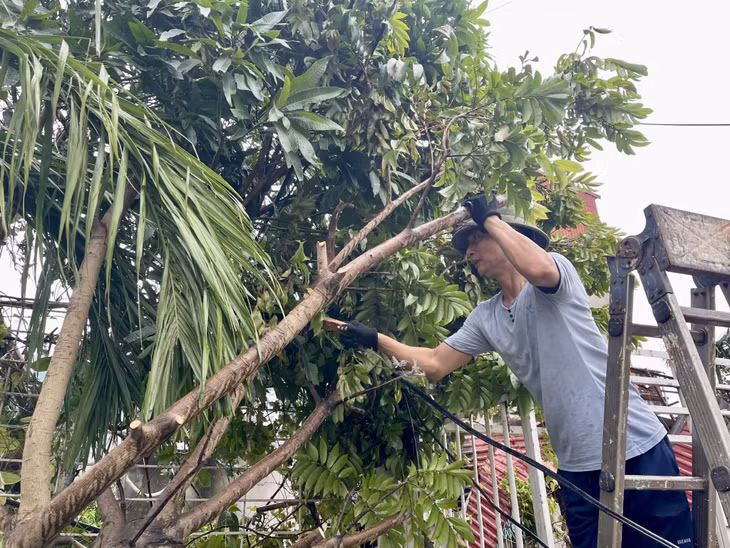 Người dân phường Cẩm Đông, TP Cẩm Phả tích cực phát tỉa cây bị đổ trước cửa nhà.