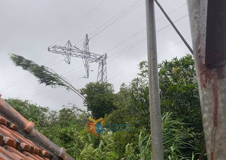 Nhiều cột điện ở TP Hạ Long bị gãy đổ do bão.