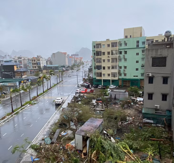 Cây cối bị bão quật đổ la liệt, mái tôn bay.