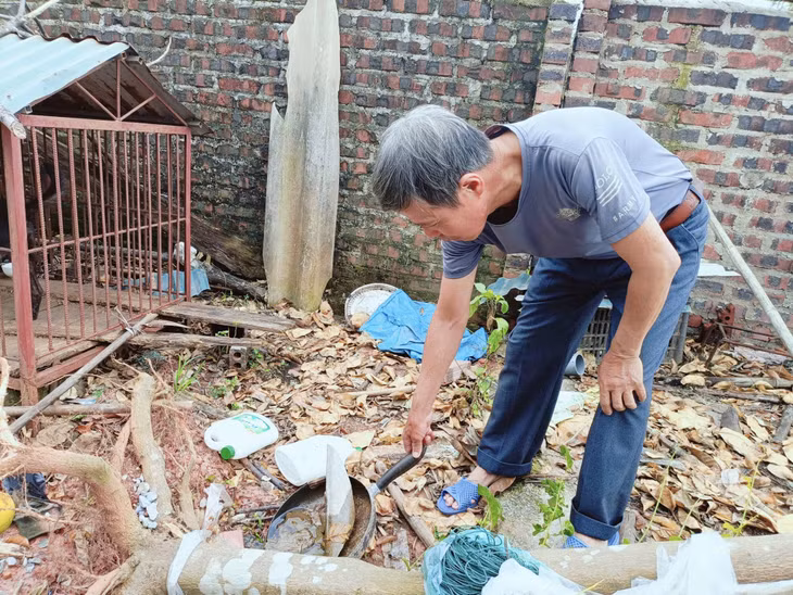 Người dân xã Tiền An (TX Quảng Yên) lật úp các vật dụng có thể chứa nước không sử dụng, để không cho muỗi đẻ trứng.