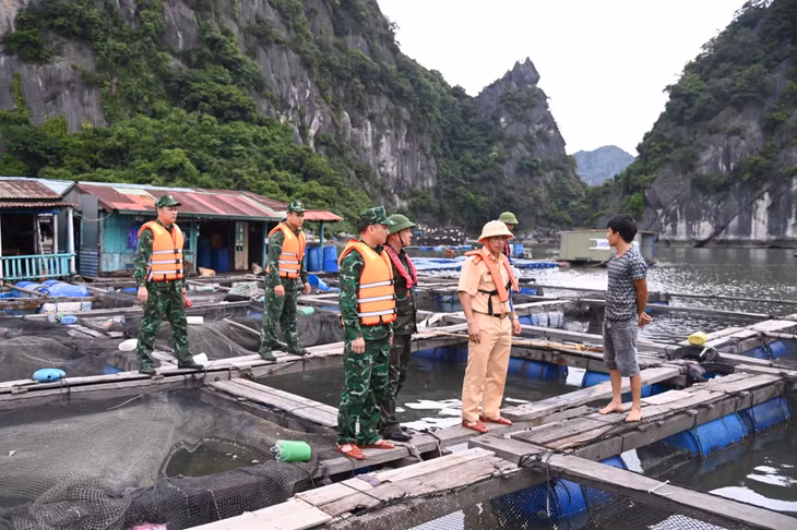 Trung tá Hoàng Tích Kim, Phó Chỉ huy trưởng, kiêm Tham mưu trưởng Ban CHQS TP Hạ Long (hàng đầu, thứ 2, trái sang) cùng các lực lượng chức năng kiểm tra, tuyên truyền người dân phòng chống bão số 3. Ảnh: Văn Đảm (Bộ CHQS tỉnh)