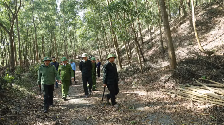 Tính riêng 3 năm gần đây, Công ty CP Than Hà Tu đã hoàn nguyên hơn 60ha cây xanh. Đây là những “hàng rào xanh” bảo vệ môi trường bền vững cho khai trường sản xuất.