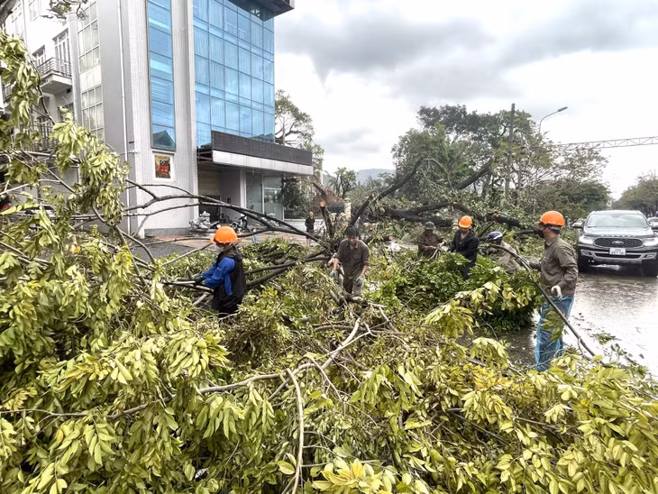 Lực lượng chức năng thu dọn cây xanh bị đổ ra đường tại phường Cẩm Thủy, TP Cẩm Phả.