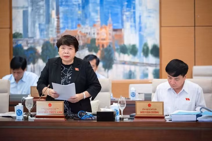Chủ nhiệm Ủy ban Xã hội của Quốc hội Nguyễn Thúy Anh trình bày Báo cáo thẩm tra sơ bộ dự án Luật. (Ảnh: DUY LINH)