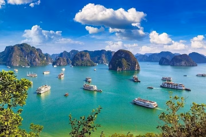Vịnh Hạ Long là vịnh biển Việt Nam nổi tiếng nhất với du khách.