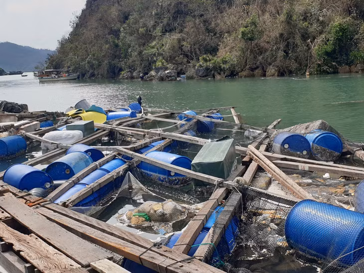 Các khu vực biển trên địa bàn tỉnh ngổn ngang sau bão.