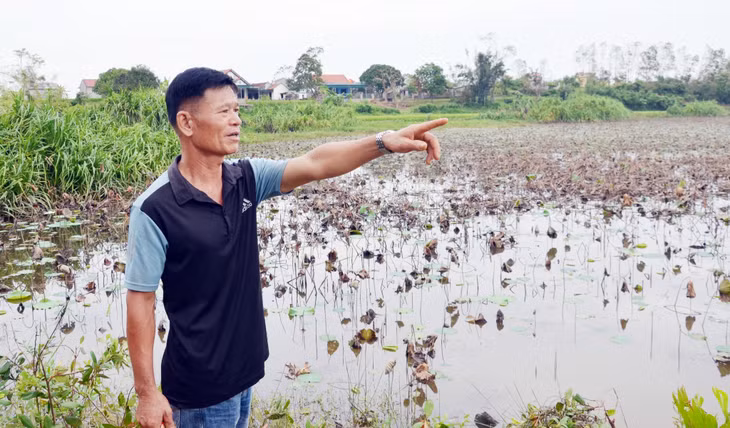 Bí thư Chi bộ, Trưởng thôn Hà Loan Trương Văn Bình thông tin khu vực ao sen là một trong những điểm nhấn trong xây dựng Làng du lịch cộng đồng thôn Hà Loan.